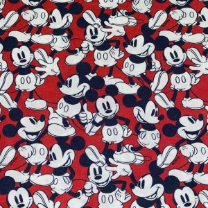 Minnie Mouse Heds and Bows