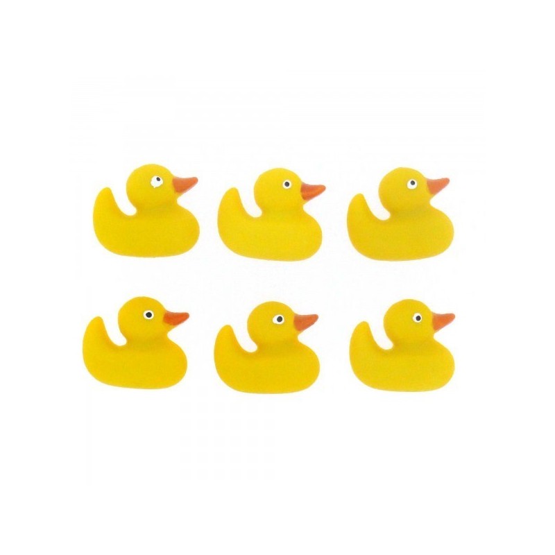 BF-Ducks