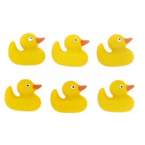 BF-Ducks