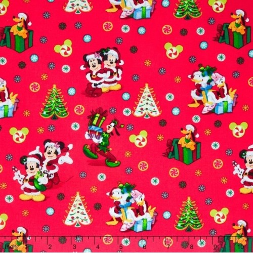 Minnie Mouse Heds and Bows