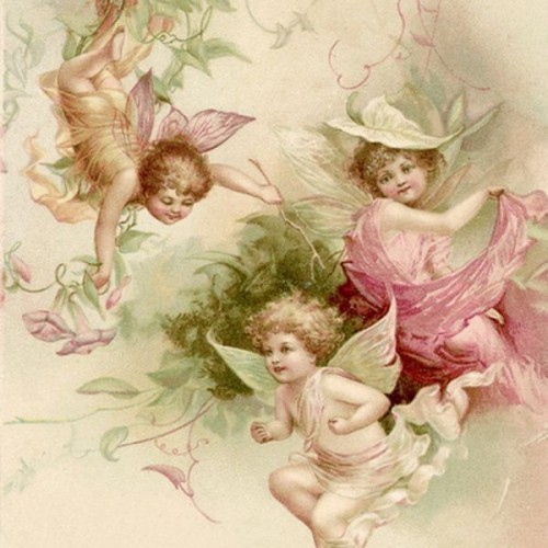 Guardanapo Fairies