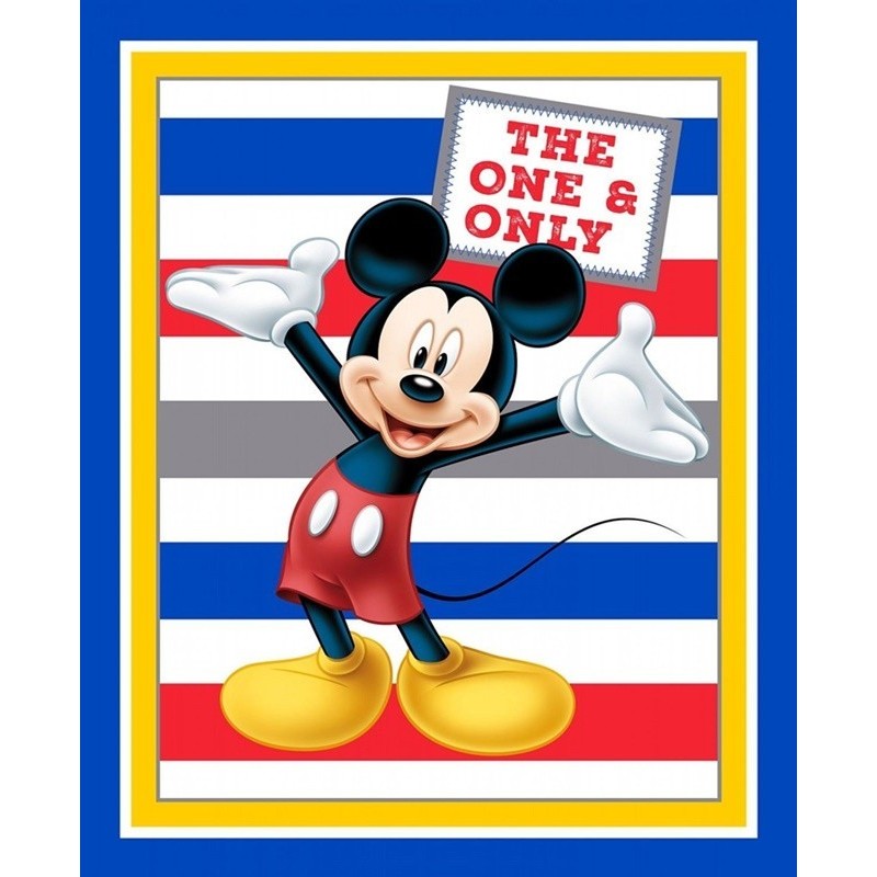 Mickey Panel With Stripes