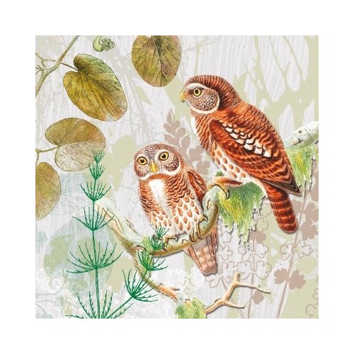 Guardanapo Pair of Owls