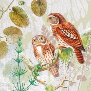 Guardanapo Pair of Owls
