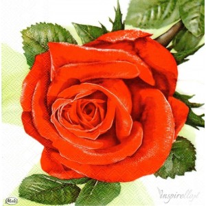 Guardanapo Big Red Roses